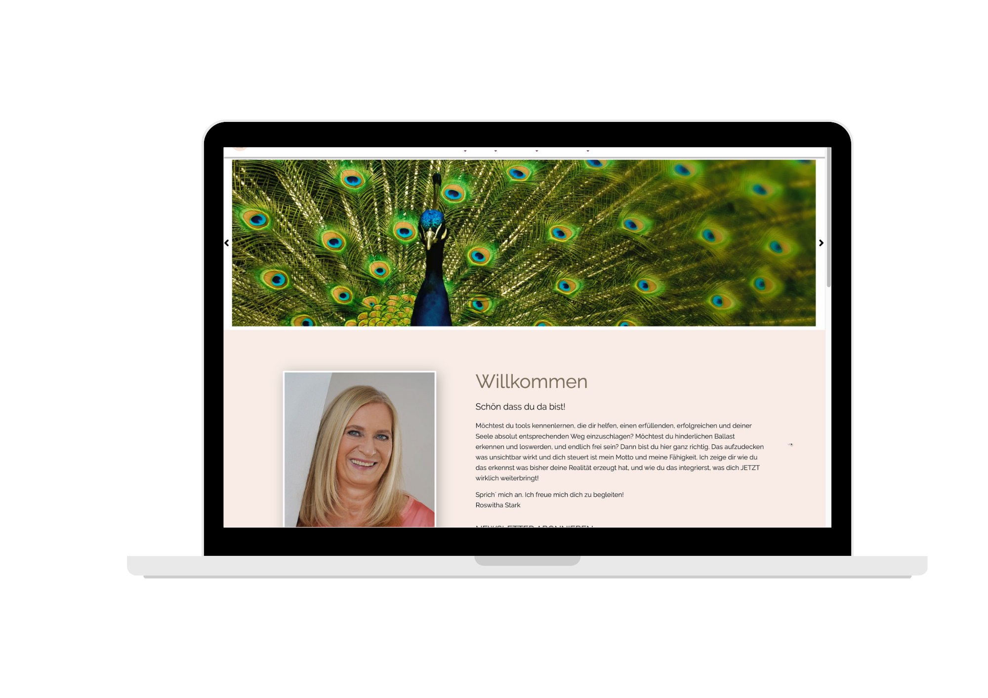 Desktop Roswitha Stark Beispiel